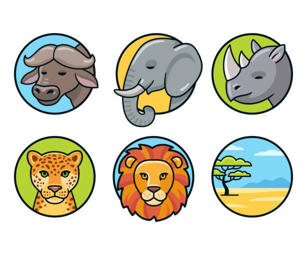 Big Five Safari