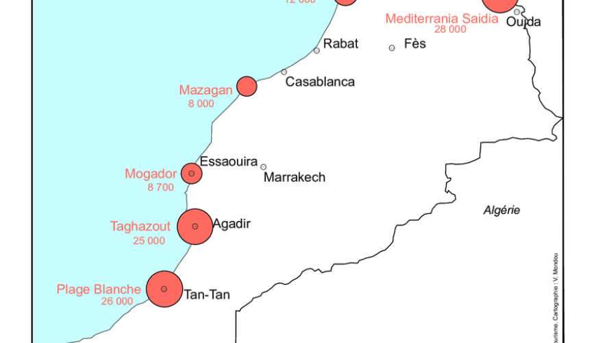 Embracing Morocco’s Coastal Renaissance